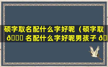 硕字取名配什么字好呢（硕字取 🐛 名配什么字好呢男孩子 💐 ）